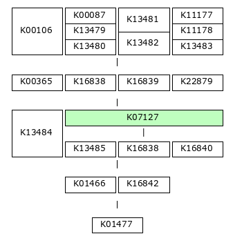 MODULE IMAGE