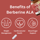 Berberine ALA: Blood Sugar Stabilizer