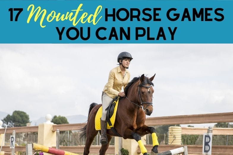 Riding Lesson Goals | The Horse Forum