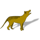 Thylacine