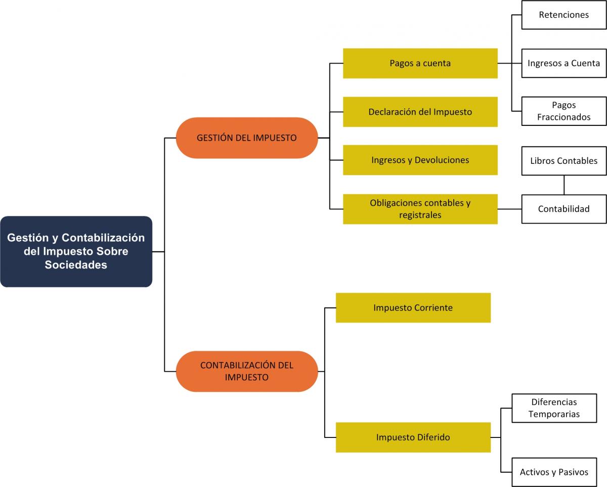 Gestión del Impuesto sobre Sociedades