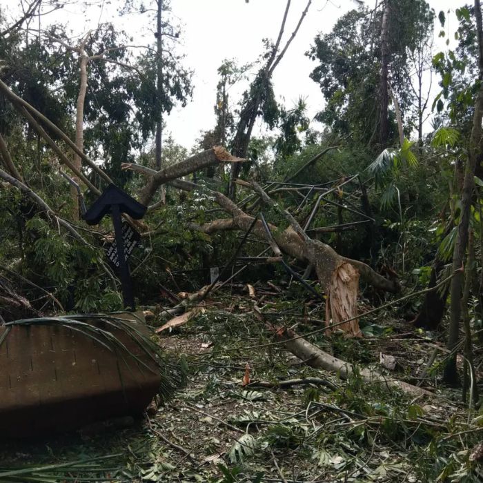 Belize Zoo damages