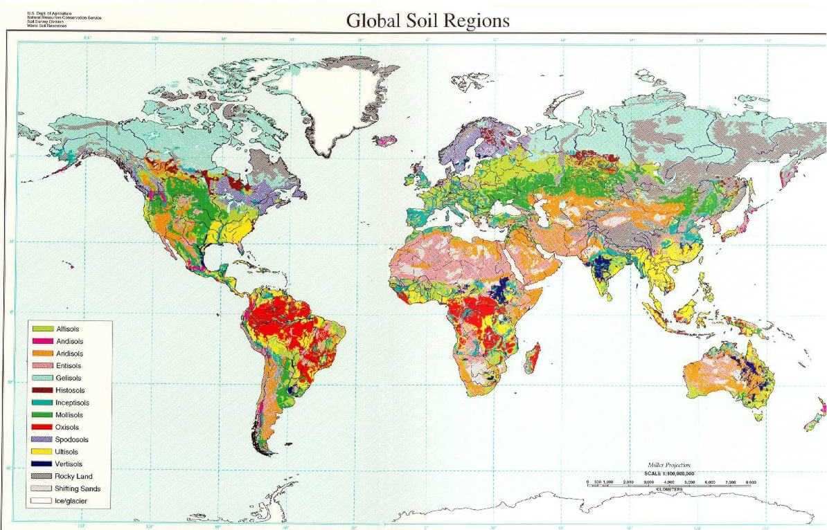 World Soil Map