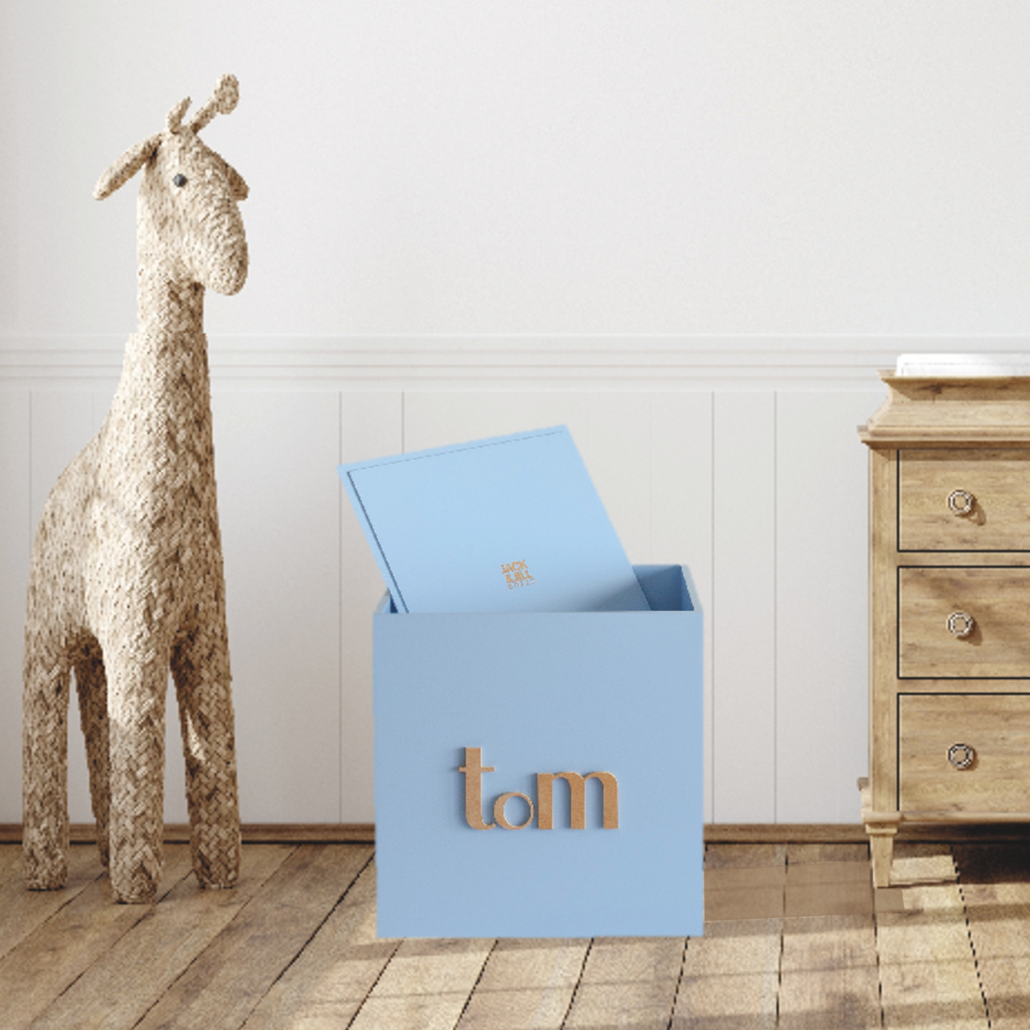 Pale Blue Toy Box