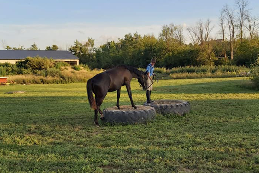 Facilities - JohnMel Stables Inc