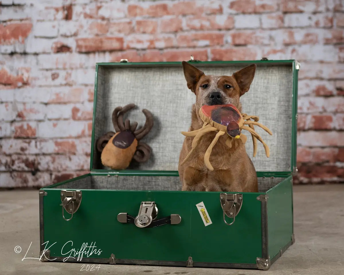 Kate Pet Old Distressed Brick Backdrop Designed by Kate Image