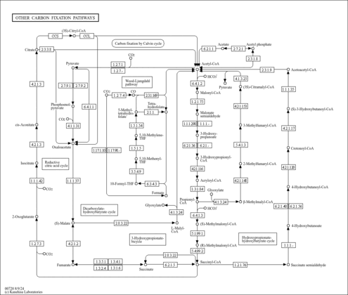 srm00720