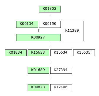 MODULE IMAGE