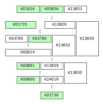 MODULE IMAGE