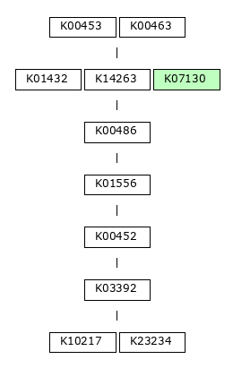 MODULE IMAGE