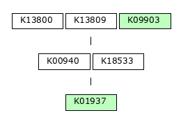 MODULE IMAGE