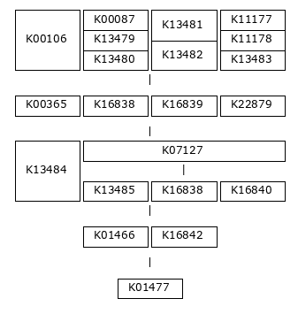 MODULE IMAGE