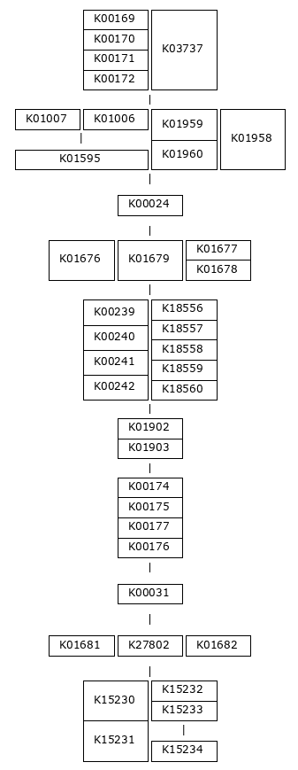 MODULE IMAGE