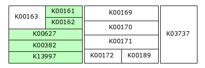 MODULE IMAGE