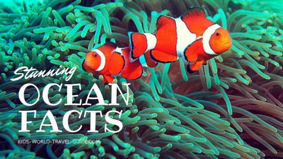 Ocean Facts