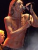 65 Jahre und agiler denn je: Iggy und seine Stooges beim Greenville Festival., Greenville Festival 2012 | © laut.de (Fotograf: Matthias Manthe)