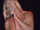 65 Jahre und agiler denn je: Iggy und seine Stooges beim Greenville Festival., Greenville Festival 2012 | © laut.de (Fotograf: Matthias Manthe)