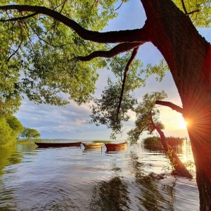 Create meme: river, autumn, nature