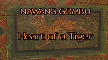 Nawang Gombu - Heart of a Tiger