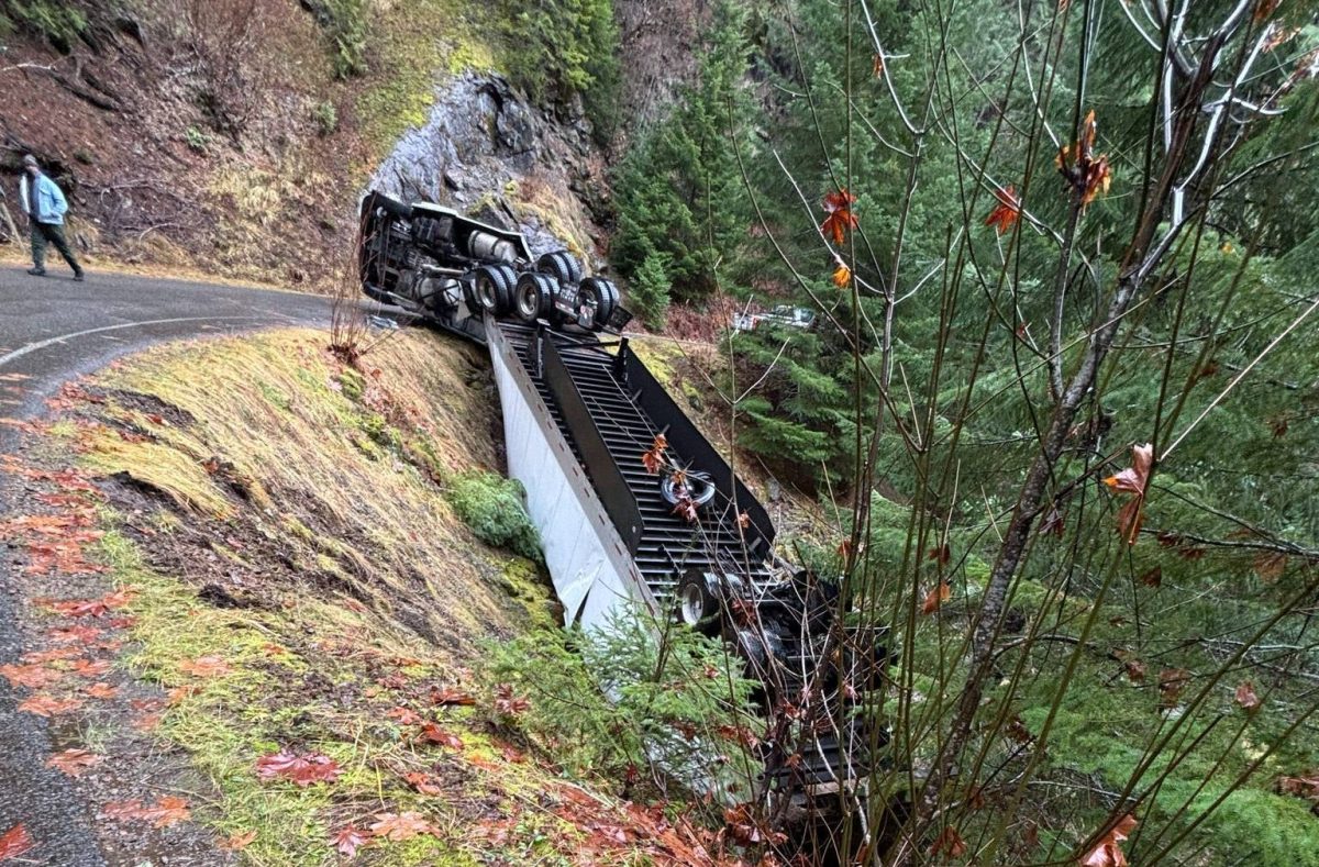 Trucker carrying 42,000 pounds of pesticides rolls over after following ...