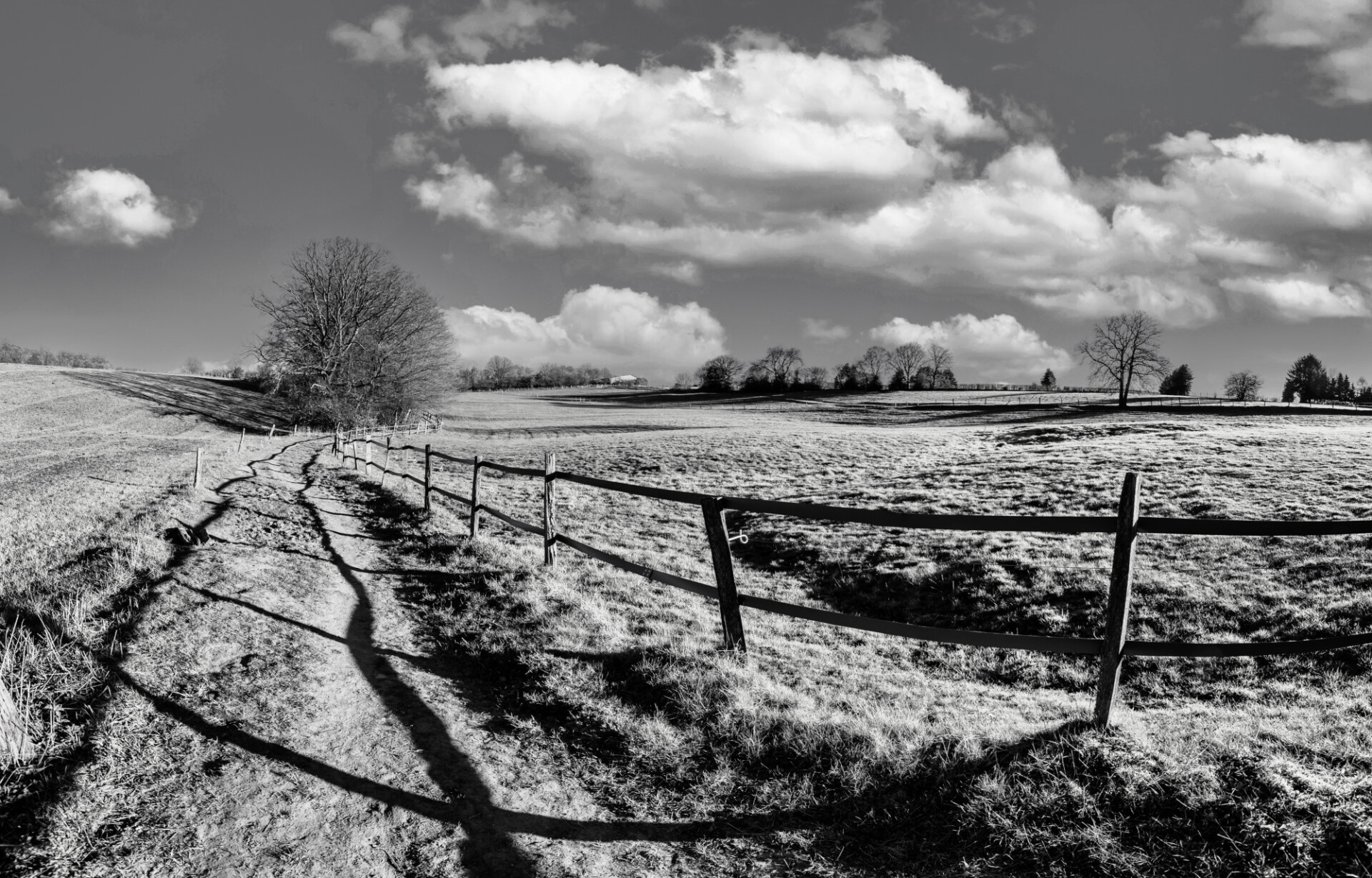 Rural landscape in blacknwhite