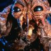 Still uit 'The Fly'