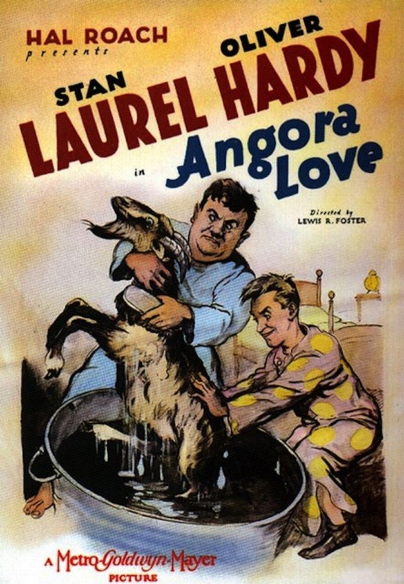 Film Cover