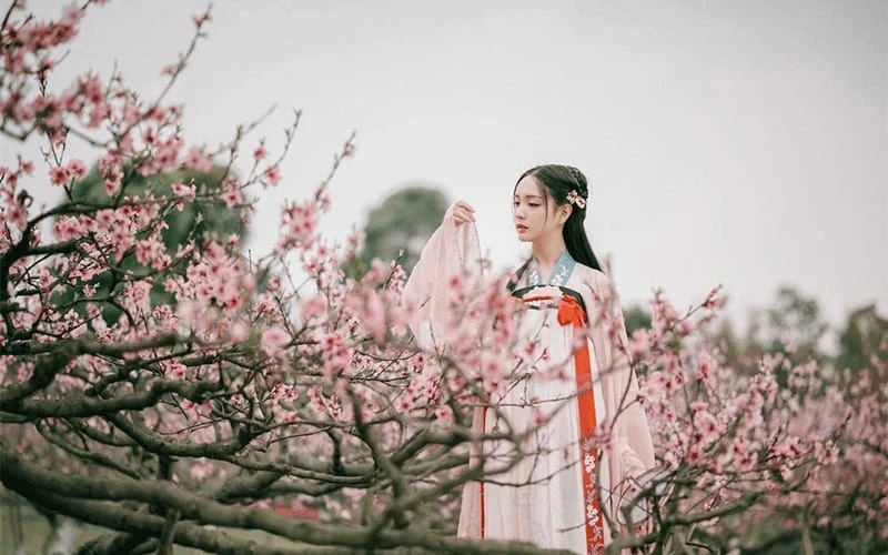 Hanfu in Different Dynasties