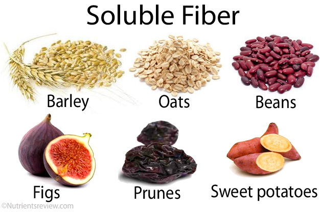 Soluble Fiber Foods - Nehru Memorial