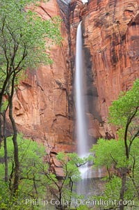 Waterfall at Temple of Sinawava during peak flow following spring rainstorm.  Zion Canyon, Zion National Park, Utah