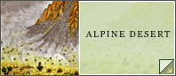 Alpine Desert