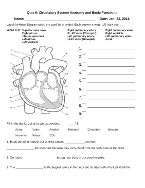 Circulatory System Anatomy And Basic Functions Worksheet Answers - Fill ...