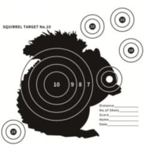 Pellet-Guns.com - Large Card Squirrel Target