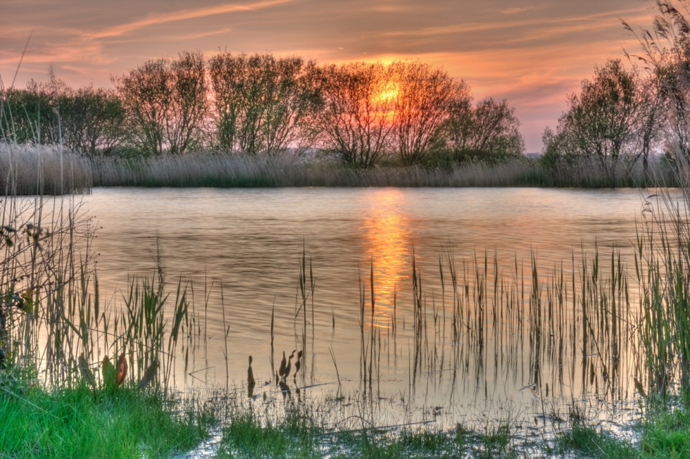 Photograph of Rye Nook Fishery