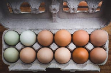 A dozen eggs in carton