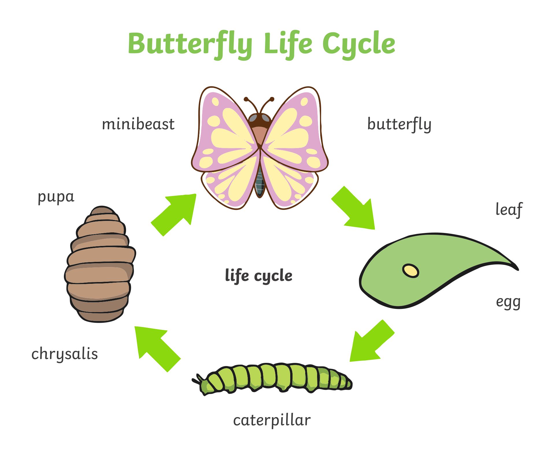 Caterpillar Dot Art - 10 Free PDF Printables | Printablee