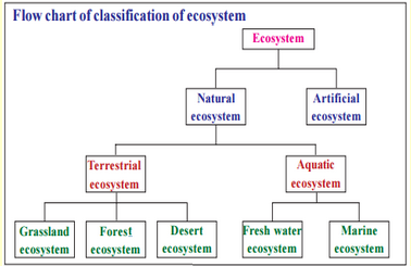 Types Of Ecosystem |Our environment class 10 notes