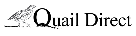 quaildirect.com.au