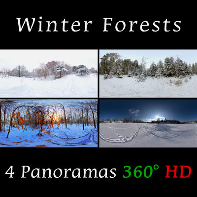 Winter Forests