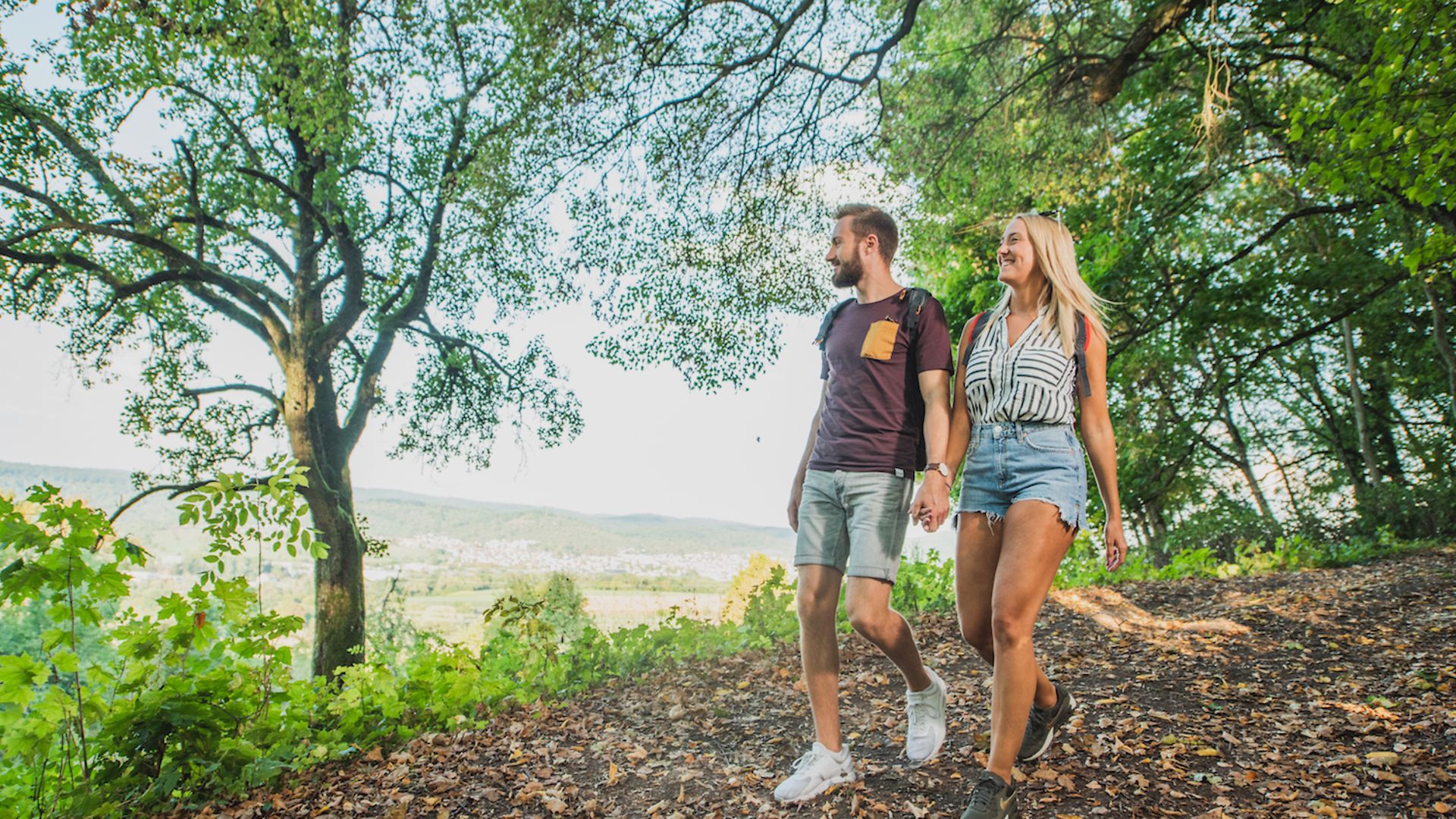 Wandern durch Wälder und Weinberge