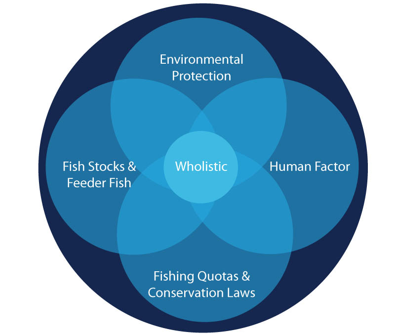 A Makeover for US Fishery Management With an Updated Holistic Healing ...