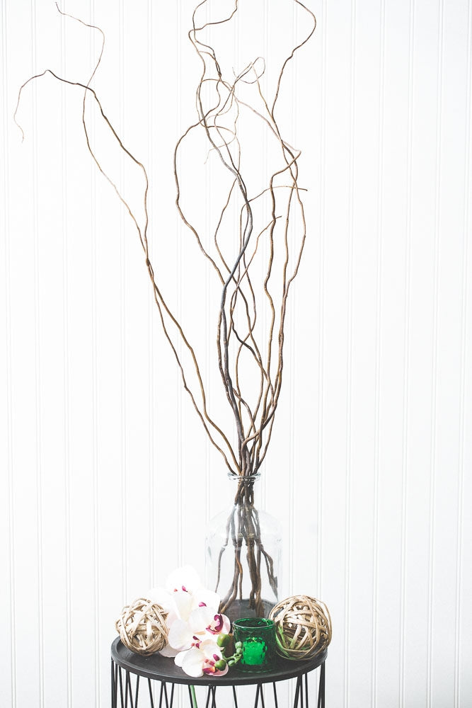 Curly Willow Tree Branch Bundle, 3-4 Feet