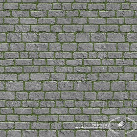 Textures   -   ARCHITECTURE   -   PAVING OUTDOOR   -  Parks Paving - Park paving stone texture seamless 18805