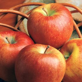 Braeburn Apples