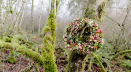 Wonder of the Woodlands Wreath in Woods