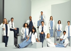 Chirurdzy, Grey s Anatomy, Obsada