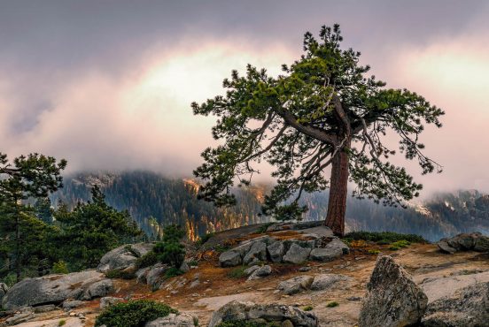 sequoia kings canyon backpacking