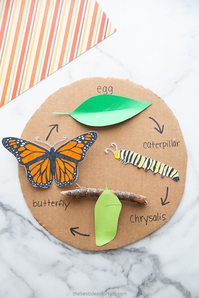 Butterfly Life Cycle Craft For Kindergarten