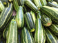 Zucchini Seeds Italian Striped Zucchini 50 Summer Squash Seeds