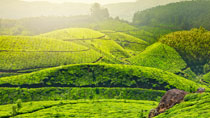 Kerala Tour Packages